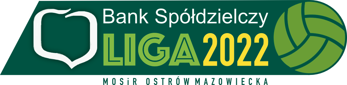 Logo BSLSA 2022